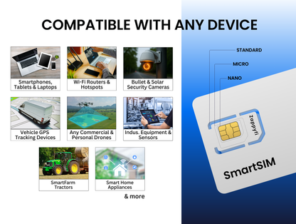 Multi-Network SmartSIM